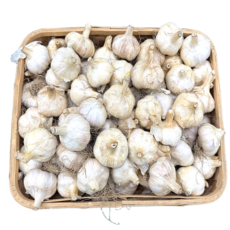 아르고도 홍산마늘 판매한다 5KG 10KG 등급선택, 1개, 반접(2.5kg) - 대