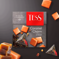 테스 카라멜 참 홍차 삼각티백 유럽 러시아연방 먹거리 블랙티, 1개, 20개입