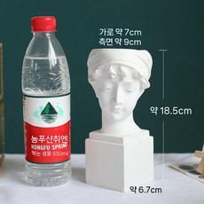 미술 석고상 소묘 조형물 다비드 미술학원 비너스 정물 테이블 인물, A. 크림색