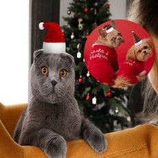 동물용 산타모자 댕댕이, 1개