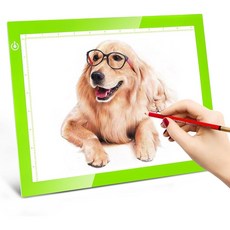 LitEnergy LED 트레이싱 라이트 박스 A2, 01 - A4, GREEN