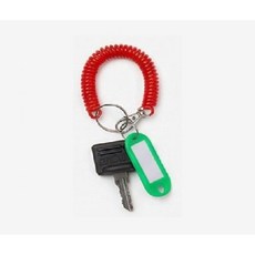 크라운 EPJ 전동 리프트 점화키 분실 방지 코일 스트랩 세트, 1개