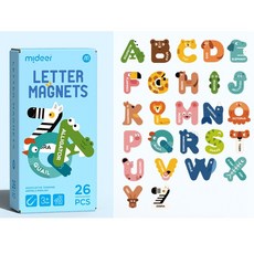 둘픽 자석 교구 마이디어 마그넷 놀이교육 안전인증, 1개