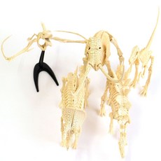 공룡뼈 조립 만들기 공룡화석 과학교구, 랜덤, 1개