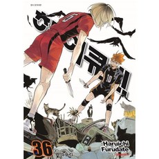 하이큐!! 36 : 나의 승리, 대원, [만화] 하이큐