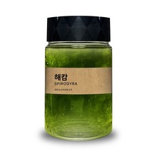 초등학교 실험 관찰생물 녹조류 해캄 300ml ehd+769oq