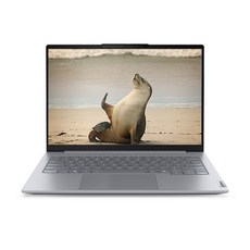 레노버 2025 씽크북 14IAL G8 U5 코어Ultra5, Arctic Grey, 1.5TB, 32GB, Free DOS, 21SJ007UKD
