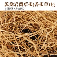 雨林薰舍 乾燥岩蘭草根(香根草)1g 招財香氛 馥郁土壤草根香, 以10為單位下單