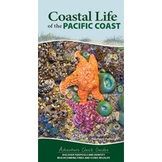 (영문도서) Coastal Life of the Pacific Coast: Discover Tidepools and Identify Beachcombing Finds and Ico... Spiral, Adventure Publications, English, 9781647553944