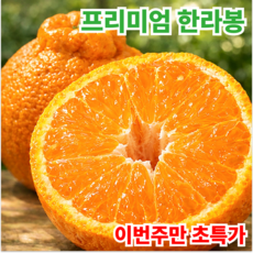 [프리미엄] 제주 한라봉 최대17브릭스 10년농가직송, 1박스, 2kg