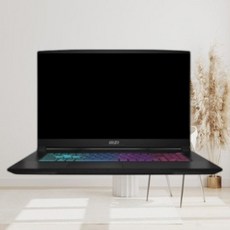 MSI 2024 스워드 GF76 17.3 라이젠7 라이젠 8000 시리즈 지포스 RTX 4060, 블랙, 2560GB, 16GB, Free DOS, Sword GF76 A AI B8VF-R7