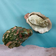 굴 모형 매장 음식 데코 장식 미니어쳐 인테리어 리얼 촬영 전시 석화 소품 피규어 해산물 전시용, 1개