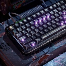 ULTRAEQUIP 투명 키캡 체리 프로파일 그린 및 블랙 MX 스위치용 기계식 키보드 (사이버 루인 PBT KEYCAP 모자 세트) 281087, CYBER RUINS PBT 키캡 세트