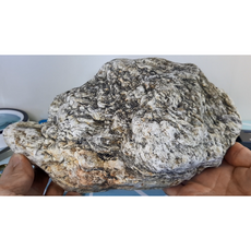 유문암(중생대 백악기 화산암) 표본 천연원석 교육교재용 SSB-617, 1개