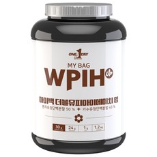 원데이뉴트리션 초코맛_단백질 쉐이크 헬스 보충제 가수 분리 유청 웨이프로틴 WPIH UP 용기, 1개, 1.2kg