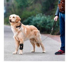 에이얼 강아지 고탄력 슬개골 보호대, 1개, 블랙