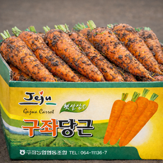 제주직송 특품선별 달콤하고 아삭한 구좌당근, 1박스, 5kg 중