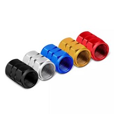DriveX 鋁合金氣門嘴 汽車輪胎氣門芯帽, 金色, 1個