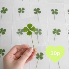 리빙미 행운 네잎클로버 코팅 책갈피 30매 세트, 1세트, 네잎클로버30매