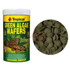 Tropical Green Algae Wafers 綠藻飼料片，植物性配方，適合異型與底棲魚類, 1個, 異型.底棲魚完美全餐100ml