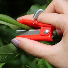 방울토마토 꽃가위 가지치기 원예용