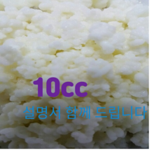 티벳버섯종균 유산균종균 수제요거트종균 발효유종균 캐비어종균, 1개, 30개입