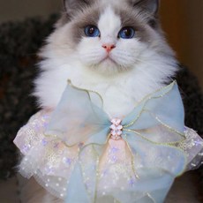 강아지 넥워머 고양이 타월 스카프 제품 귀여운 애완 반려동물 벨 겨울 삼 니트 크리스마스 악세사리 칼라 동물, 7.파란보라꽃무늬 XS-초소형