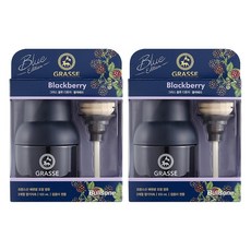 불스원 그라스 디퓨저 블루 블랙베리 100ml 1+1, 2개