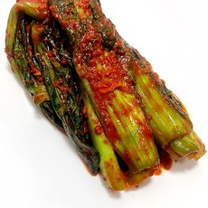 뜰아래김치 국산 갓김치, 1kg, 1개