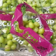 가람상점 씨없는포도 애플청포도, 1개, 1kg