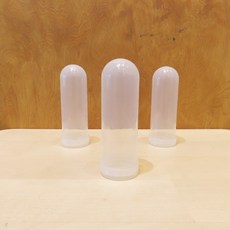 【蟲蟲底家】離心管 100ml 採集罐可裝80-100mm成蟲 野外採集適用, 1個, 透明