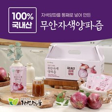 자연식품 자연 그대로 무안 자색양파즙, 100ml, 120개