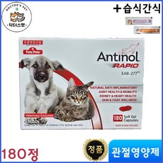 안티놀 래피드 180정 + 동물병원 전용 습식 간식 / Antinol Rapid / 관절영양제 / 천연성분 / 동물병원 전용 정품 / 강아지 고양이 겸용, 180개