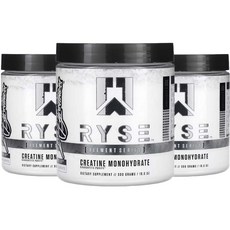 RYSE 엘리먼트 시리즈 크레아틴 크레아틴로딩 크래아티닌 300g 3통