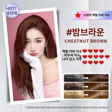 식물성 버블 염색약 백발 커버 가정용 헤어 컬러 염색 스틱, 체스트넛브라운 10팩+헤어 마스크 2팩, 1개, 1ml