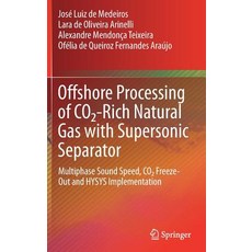 Offshore Processing of Co2-Rich Natural Gas with Supersonic Separator: Multiphase Sound Speed Co2 F... Hardcover, Springer