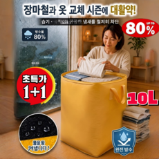 접이식 수납 가방 이동 파우치 플라스틱 리빙박스 대체 대형 폴딩백 여행용 캐리어 보조 가방 옷장 수납함 /리빙박스/폴딩백, 단일색상*2