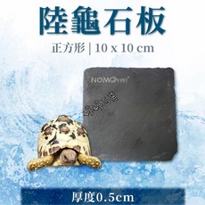NOMO 陸龜石板 爬蟲磨爪餵食 保暖保濕, 1個, NM-10 10 cm