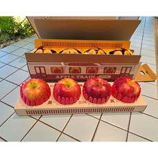 애플트레인 고당도 사과 명절선물 프리미엄 세트, 2개