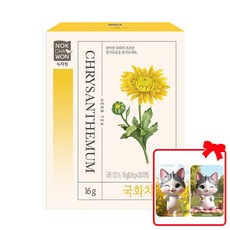 녹차원 국화차 (+대순이 캐릭터 포토카드 증정), 3개, 20개입, 800mg