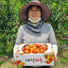 [상위1%생산자직송] 경북 고당도 노지 햇자두 대석자두, 1박스, 1kg (특)