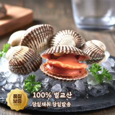 [참참밥상] 당일조업 산지직송 제철 벌교 꼬막, 1개, 5kg (왕대) 큰사이즈
