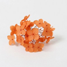 화연양화 프리저브드플라워 수국 1g 30색, 26 단풍-오렌지