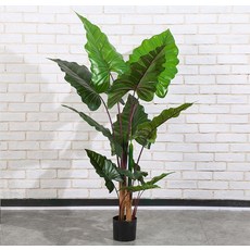 칼라테아나무 조화 120cm, 1개, 그린레드