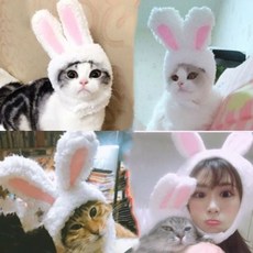 반려묘 반려견 켈리몰 애완 악 애견 서리 토끼귀모자