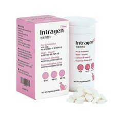 알켐 인트라젠 200정 애완동물 장면역 강아지 영양제, 장건강/유산균, 200개