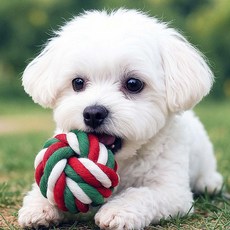 뼈다귀 치석제거 멍멍 터그 6cm 대형 장난감볼 물기