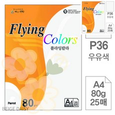 BG 미술용지 25매 플라잉칼라 우유색 A4 80g