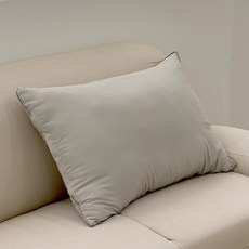 다양한색상 푹신한 지퍼형 베개솜 40X60 50X70, 그레이(무지), 1개