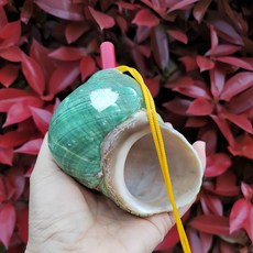 나각 뿔나팔 대형 뿔피리 소라 껍데기 호루라기 뱃고동, 그린 가공 9-11cm 대형 녹색 달팽이